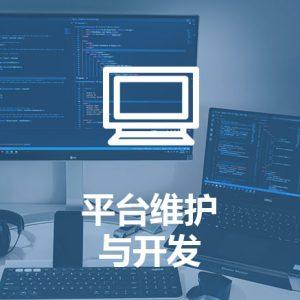 平台维护与开发